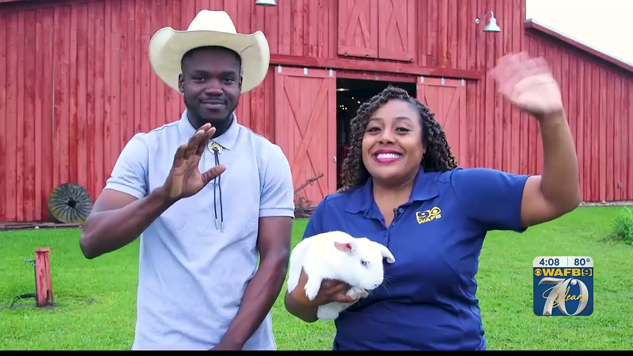 Top Easter Egg Hunts: Easter Extravaganza