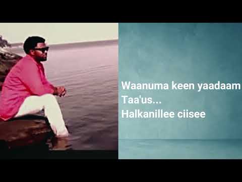 Soorettii Haadha Sooree _ New Oro Music 2023 | @kenyamedia