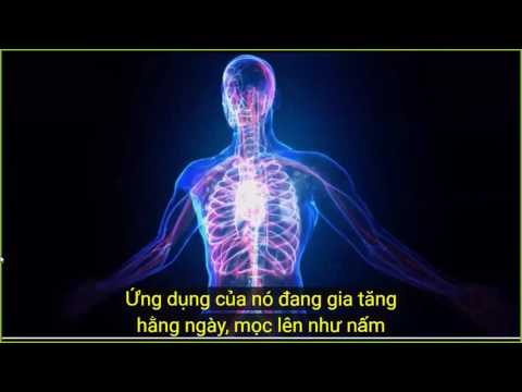 2016 11 05 AM Public Teaching in Vietnamese - Buổi giảng công cộng bằng tiếng Việt