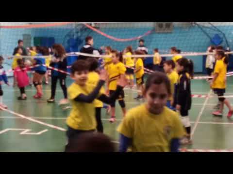 MINIVOLLEY SPORTING PAVONA 2019-20