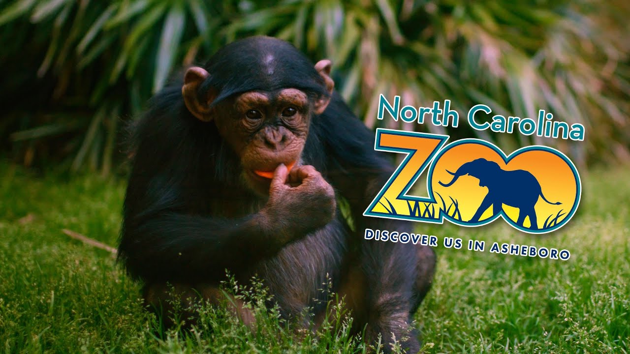 How many zoos are in North Carolina? More REF