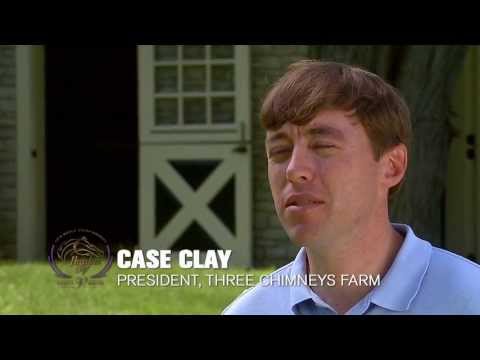 Breeders' Cup Moments: War Chant