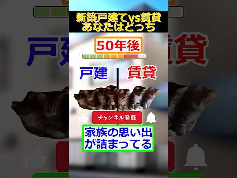 【猫ミーム】戸建てVS賃貸　#猫ミーム #shorts #catmemes #猫マニ #あるある #戸建て #マイホーム #賃貸 #引っ越し