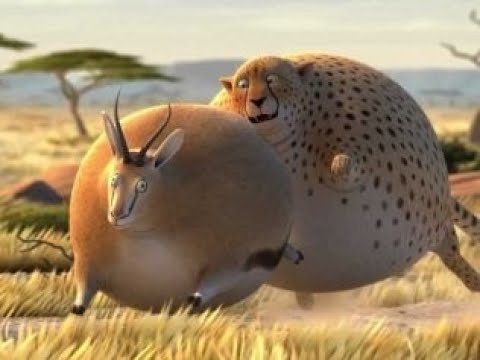 Funny Caminandes | Fat | Rollin’ Wild | Short Movies| Animation Short Movies| Cartoon Movies