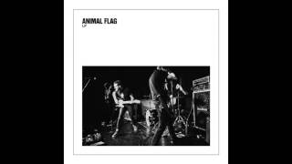 Animal Flag - Jealous Lover