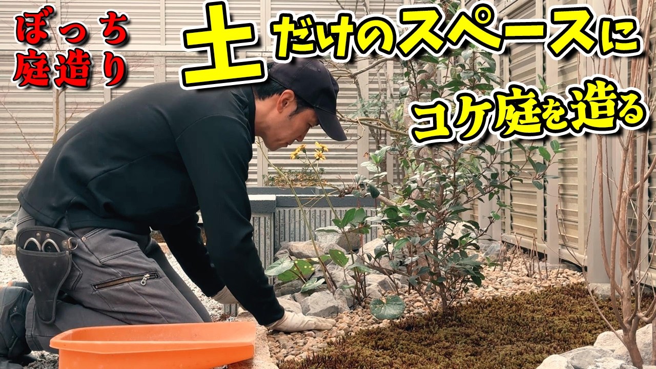 土だけだった花壇に一人ぼっちでコケ庭を造ったらめっちゃかっこよくなった【ぼっち庭造り】