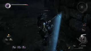 仁王やる