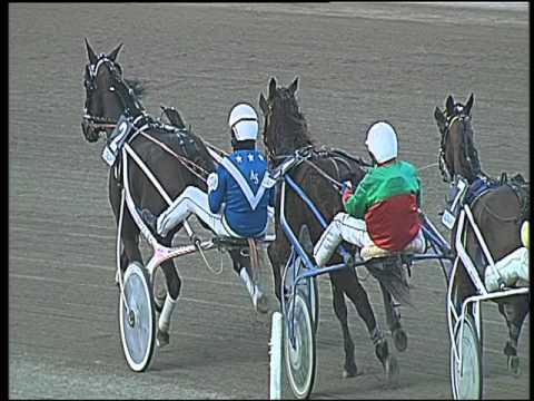 Trotto 26/02/2016 - 5° corsa