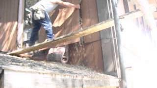 House Filled with Acorns