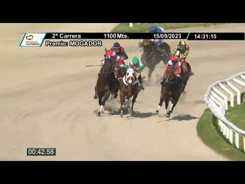 230915 c02 - MARLON BRANDO - HIPODROMO LAS PIEDRAS