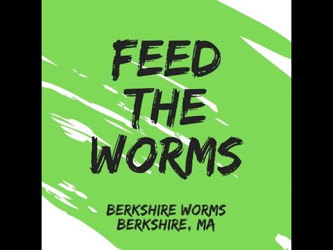 How to Feed Your Worm Compost