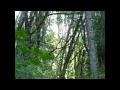 Clannad - Coinleach Glas An Fhómhair - HD Slideshow - rovingrepairbot Clannad - Coinleach Glas An Fhómhair - HD Slideshow