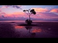Ozo Effy - Oceania (Original Mix) 