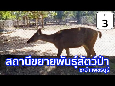 Huai Sai Wildlife Breeding Research Station