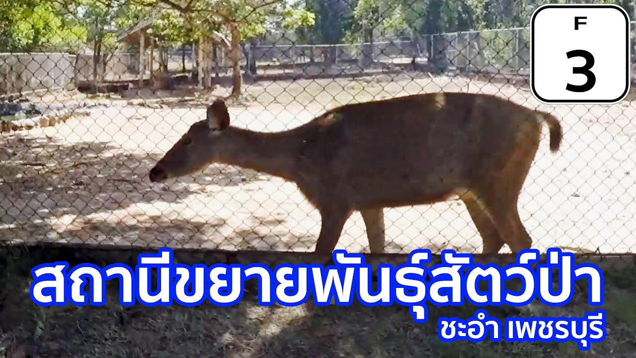 Huai Sai Wildlife Breeding Research Station