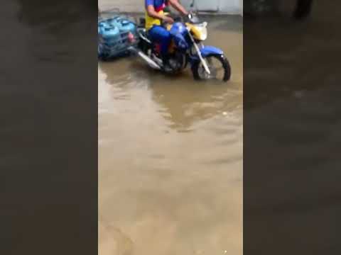 ENCHENTE  NO  AU AU CANIL SOLIDÁRIO SOS PIX : mrcruz9027@gmail.com