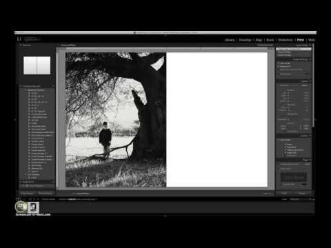 3x4s to 4x6s in Photoshop, Lightroom and PicStitch by Traci Reed