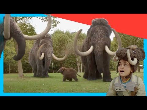 🦕🍼 Best of Baby Dinosaurs! 🌟 | Dino Dana | Dino Adventures for Kids @Smart_Kids_Youtube