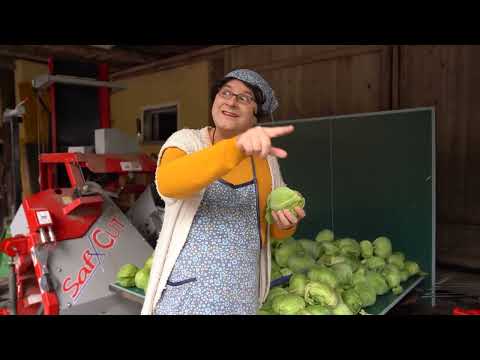 Veseljačenje z Mamo Manko: Špricanje pouka