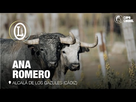 ANA ROMERO: los Santa Coloma gaditanos vuelven a la Copa Chenel