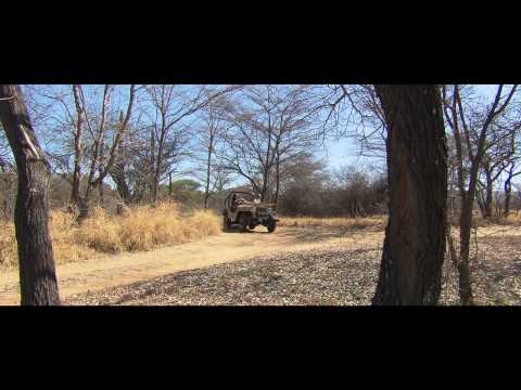trailer