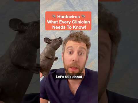 Spotting Hantavirus: Key Symptoms & Prevention Tips 🔍