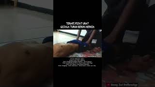 Download lagu PIJAT URAT GEJALA HERNIA / hernia symptom massage #totoksaraf #totokjari mp3 Download lagu PIJAT URAT GEJALA HERNIA / hernia symptom massage #totoksaraf #totokjari mp3