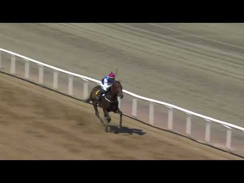 2021.06.06 Svenskt Derby Trial (SWE) - No Short Cuts