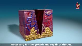 Natural Vitamin C Infusion