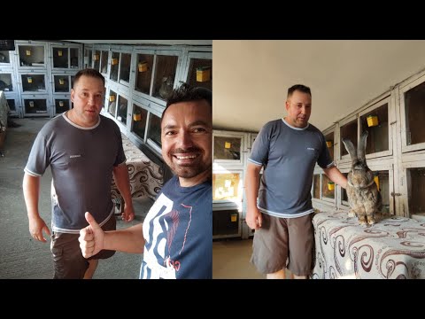 Vizita Sibiu Nicolae Poplacean august 2024🐰✅✌️😉