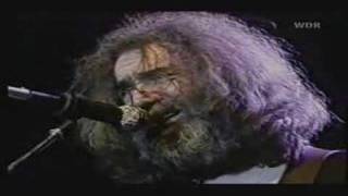 Wharf Rat Music Video