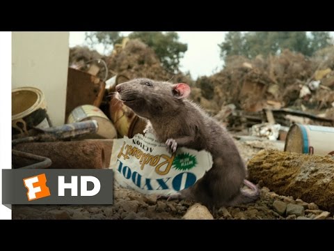 Charlotte's Web (7/10) Movie CLIP - The Rat Rules! (2006) HD