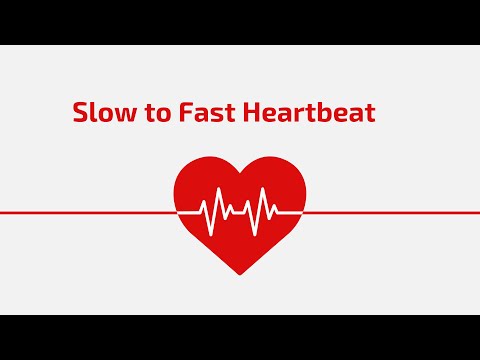 Slow to Fast Heartbeat Sound Effect 💓 (HD)