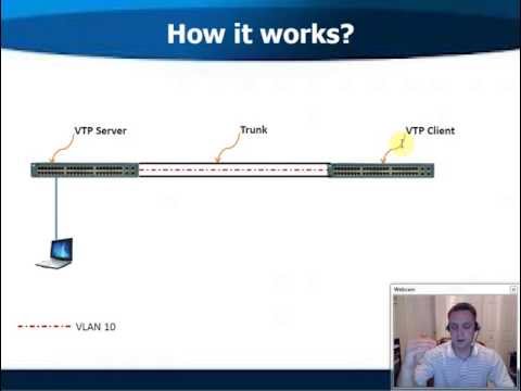 VLAN Trunking Protocol