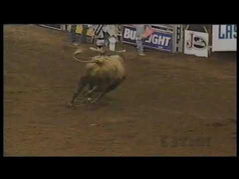 Cujo bucks Wayde Joyal - 97 PBR Guthrie