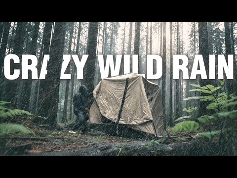 🌧️ Was für ein Leben! 🏕️ Camping im strömenden Regen, Kochen und Entspannen in der Ruhe der Natur