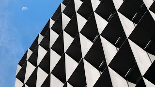 VECTORS in Fukuoka ┃Sustainable Office Building