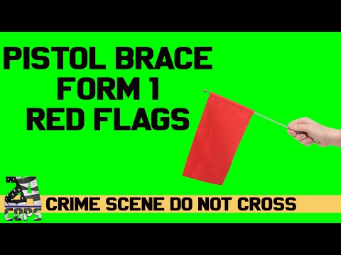 Red Flags and Concerns Around Redacted Form 1 for SBR Registration