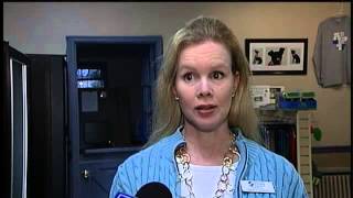 Excessive Dog Fees in Troy?