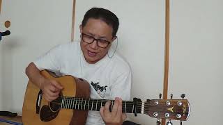 カナリア諸島にて (大滝詠一) ギター弾き語り