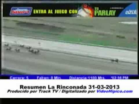 Resumen La Rinconada 31-03-2013