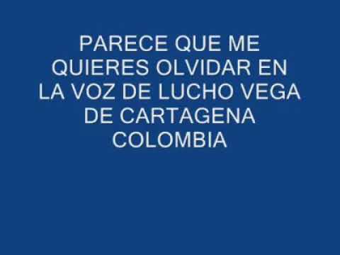 Parece que me quieres olvidar