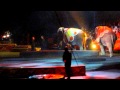Circus Elephants