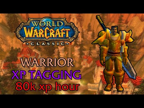 WOW Classic - Warrior boosting lvl 45-60 via xp tagging 60-100k xp pr. hour.