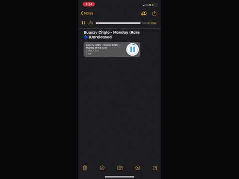 Bugszy Citglo - Monday