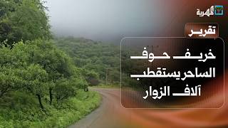 غابات يكسوها الضباب.. خريف حوف الساحر يستقطب آلاف الزوار إلى جنة المهرة