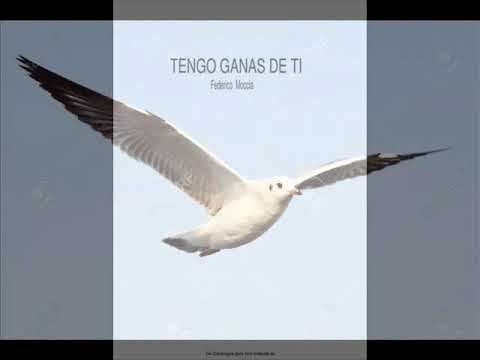 volaras volare por el cielo infinito letra