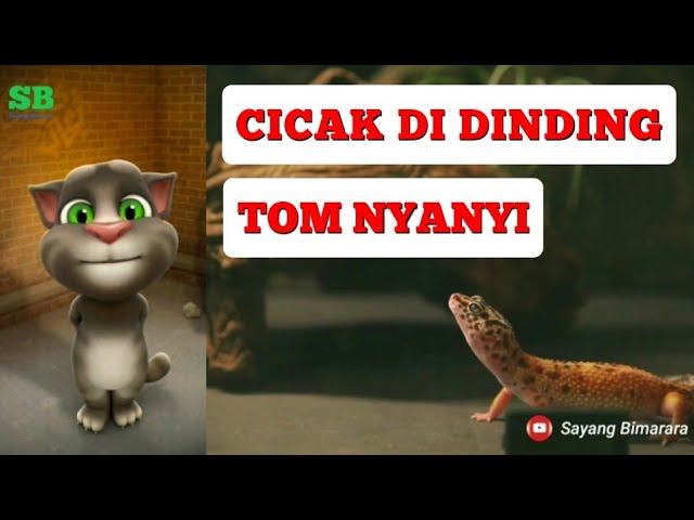 Cicak Di Dinding In English