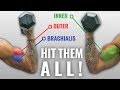 The Best Science Based DUMBBELL Biceps Exercises For Size And Shape