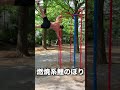 燃焼系鯉のぼり #Shorts